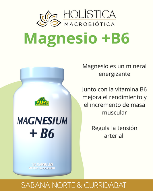 MAGNESIO +B6