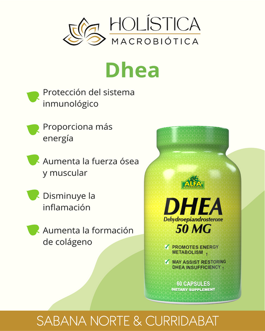 DHEA