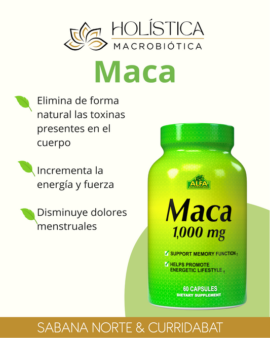 MACA