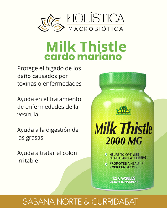 MILK THISTLE CARDO MARIANO